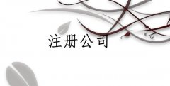 温州温州设立分公司应具备下列条件