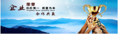 温州温州分公司和子公司的区别